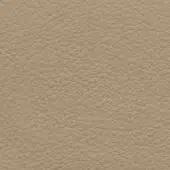 Light beige leather texture with a dense, granular surface and subtle mottled pattern, displaying a warm, neutral, sandy tone with even lighting.